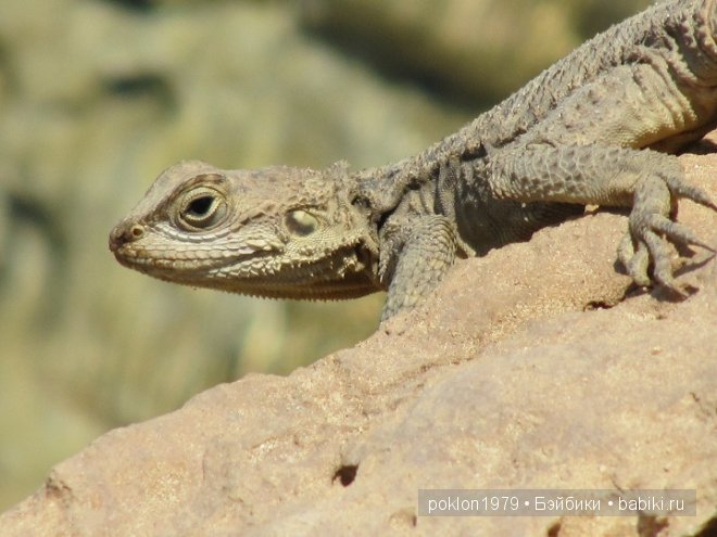 Кипр моими глазами или как я люблю этот замечательный остров