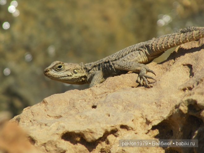 Кипр моими глазами или как я люблю этот замечательный остров