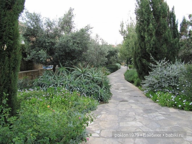 Кипр моими глазами или как я люблю этот замечательный остров (фото 4)