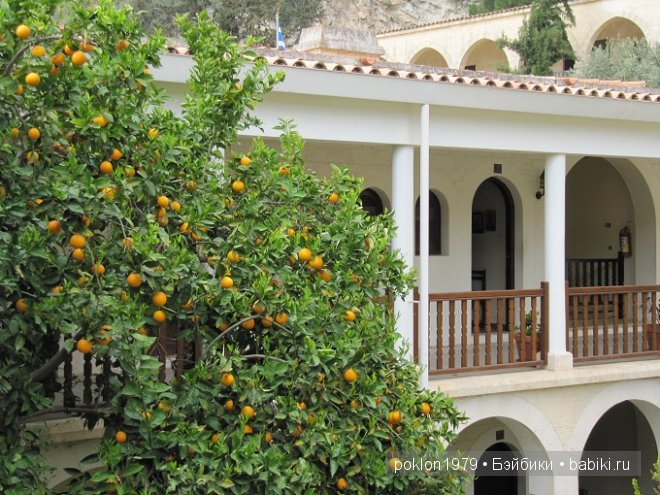 Кипр моими глазами или как я люблю этот замечательный остров (фото 8)