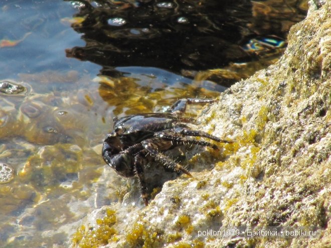 Кипр моими глазами или как я люблю этот замечательный остров