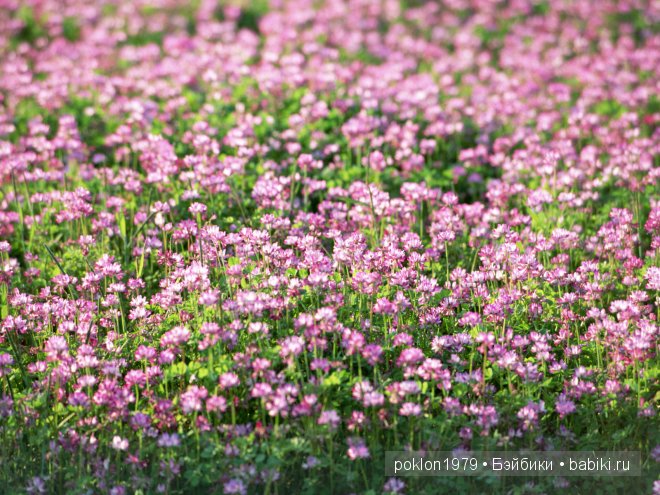 Игровая кукла Таня Zwergnase 50 см