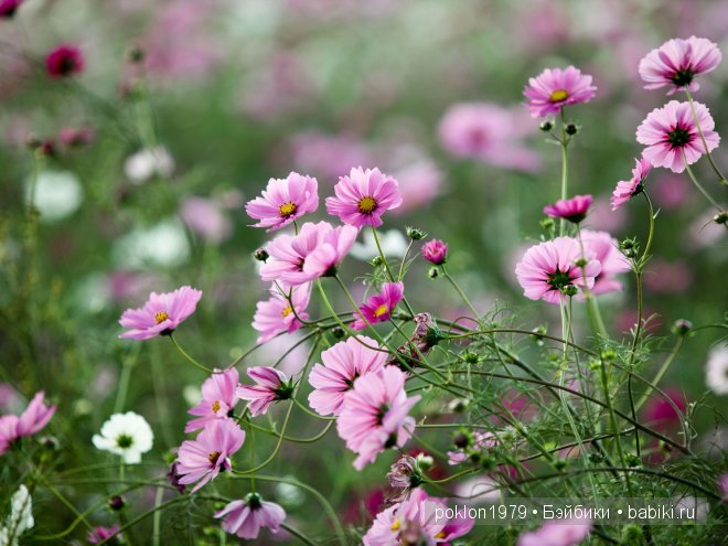 "Татьянин день". Два новых образа для Тани. Игровая кукла Таня Zwergnase 50 см | Бэйбики "Татьянин день". Два новых образа для Тани. Игровая кукла Таня Zwergnase 50 см (фото 2)