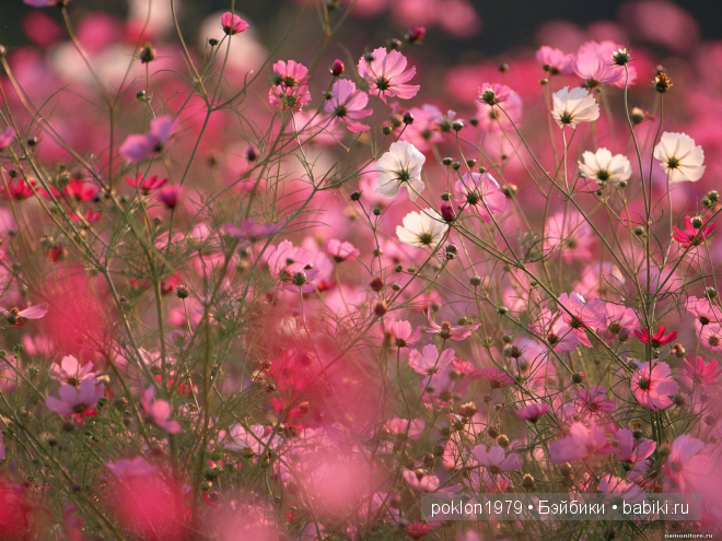 Игровая кукла Таня Zwergnase 50 см