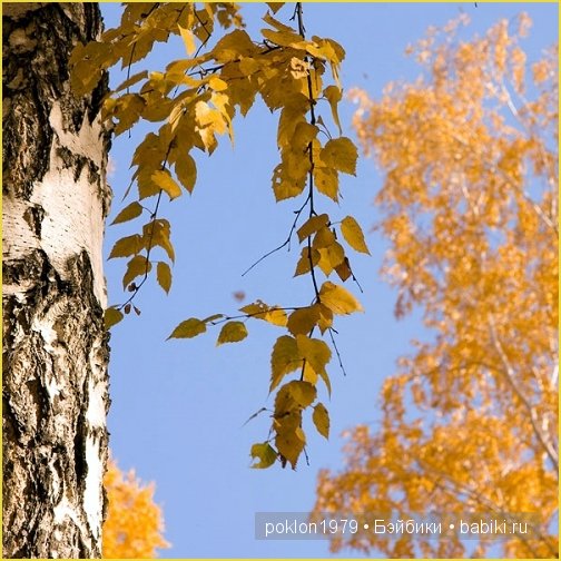 "Белое золото" или осенний наряд для Дуни. Игровые куклы Готц. Ханна с собачкой 2011 год (фото 2)