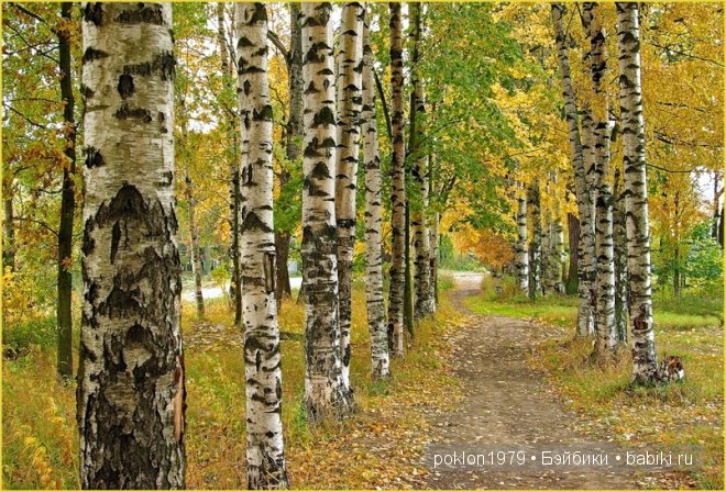 "Белое золото" или осенний наряд для Дуни. Игровые куклы Готц. Ханна с собачкой 2011 год