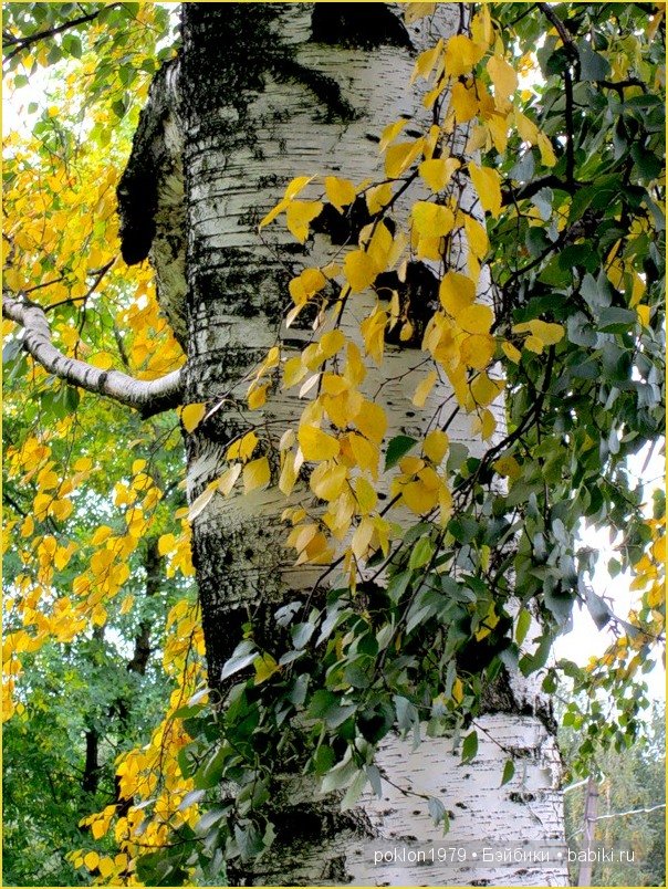 "Белое золото" или осенний наряд для Дуни. Игровые куклы Готц. Ханна с собачкой 2011 год