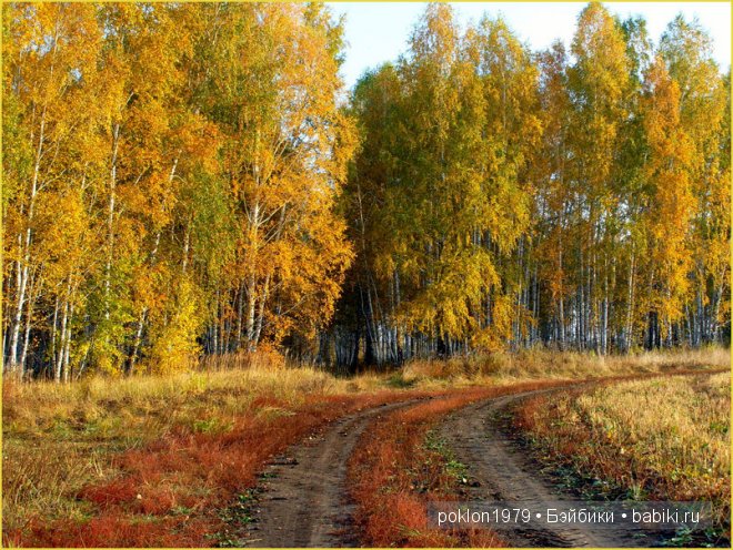 "Белое золото" или осенний наряд для Дуни. Игровые куклы Готц. Ханна с собачкой 2011 год (фото 7)
