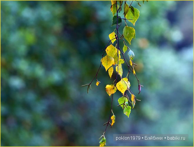 "Белое золото" или осенний наряд для Дуни. Игровые куклы Готц. Ханна с собачкой 2011 год