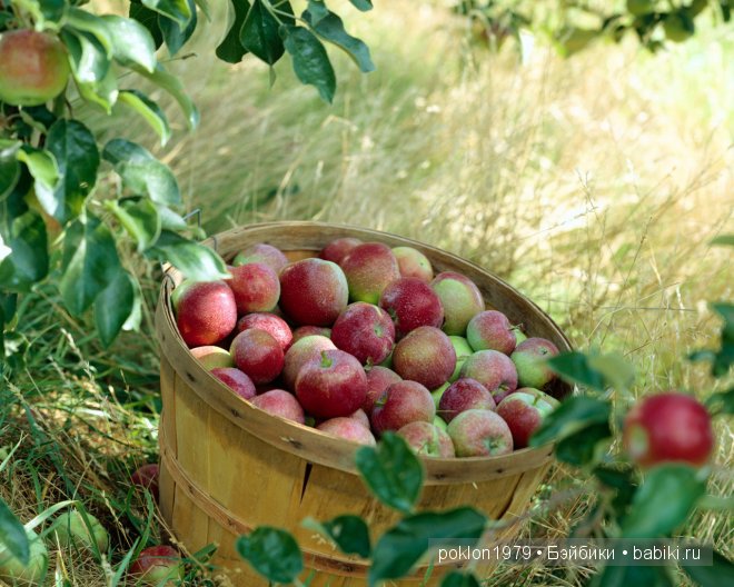 Подарки золотой осени. Игровые куклы от Kathe Kruse