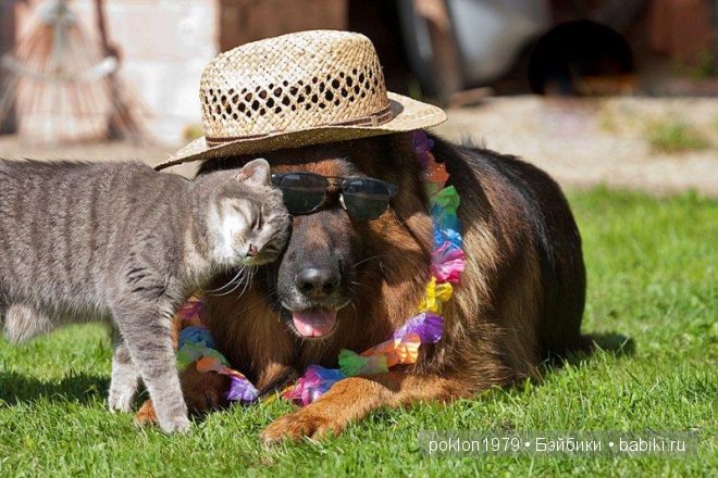 Давайте, будем бережней друг к другу (фото 5)