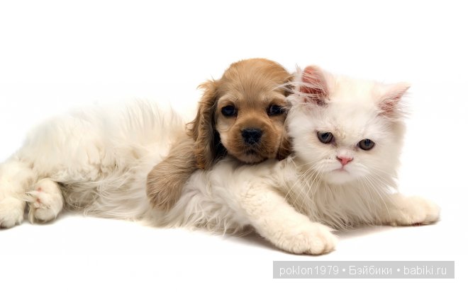 Давайте, будем бережней друг к другу (фото 6)