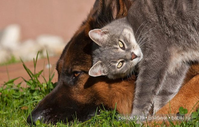 Давайте, будем бережней друг к другу (фото 7)