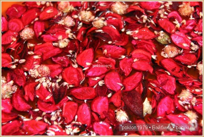 Волшебство твоих рук. Чудесный подарок от Марианны savik. Игровые куклы Готц. Ханна с собачкой 2011 год (фото 10)