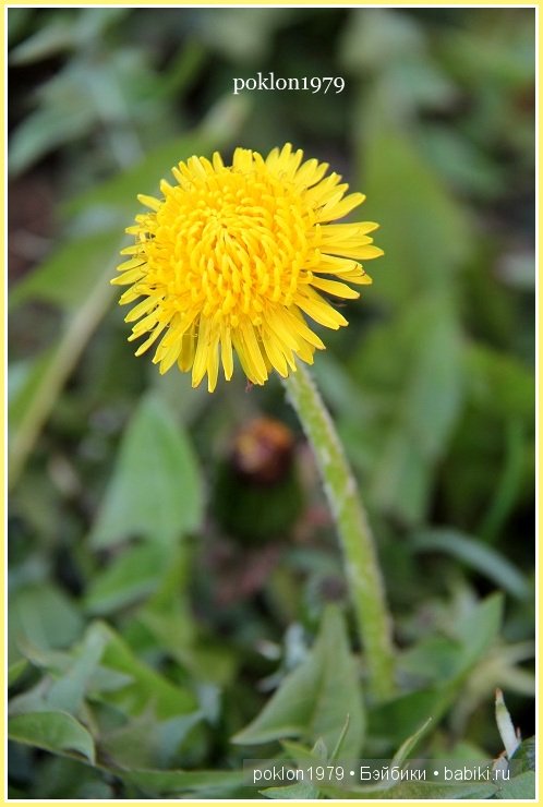 Моя волшебная страна...Игровые куклы Kathe Kruse. Minouche 35 см