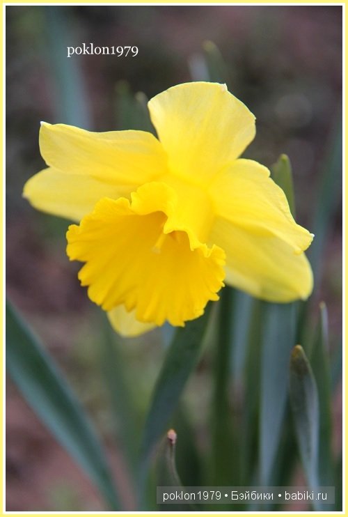 Моя волшебная страна...Игровые куклы Kathe Kruse. Minouche 35 см (фото 7)