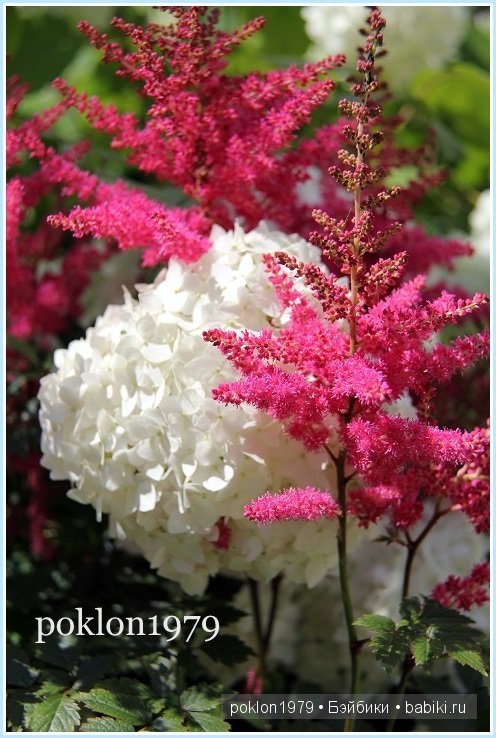 "Остановись, мгновенье! Ты прекрасно!" Испанские игровые куклы. Paola Reina 32см. Дария (фото 8)