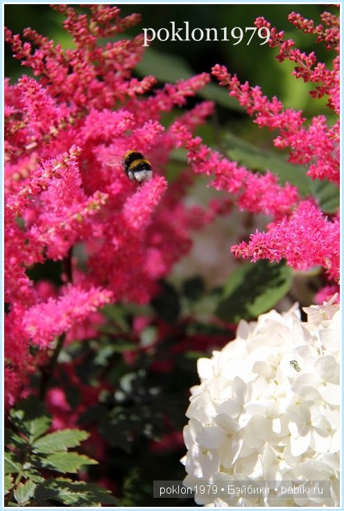 "Остановись, мгновенье! Ты прекрасно!" Испанские игровые куклы. Paola Reina 32см. Дария (фото 7)