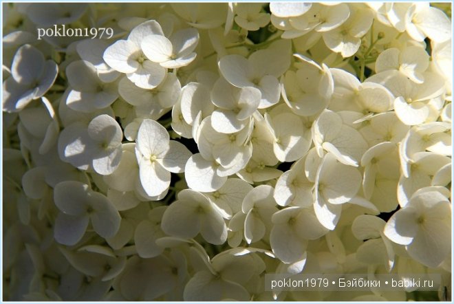 "Остановись, мгновенье! Ты прекрасно!" Испанские игровые куклы. Paola Reina 32см. Дария