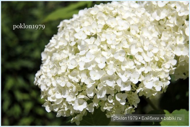 "Остановись, мгновенье! Ты прекрасно!" Испанские игровые куклы. Paola Reina 32см. Дария (фото 10)