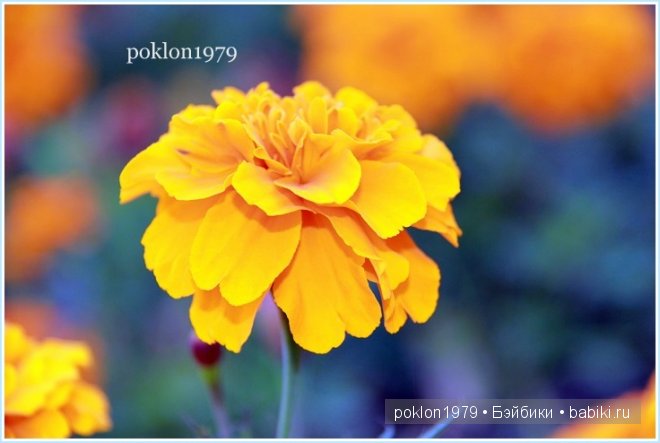 "Остановись, мгновенье! Ты прекрасно!" Испанские игровые куклы. Paola Reina 32см. Дария