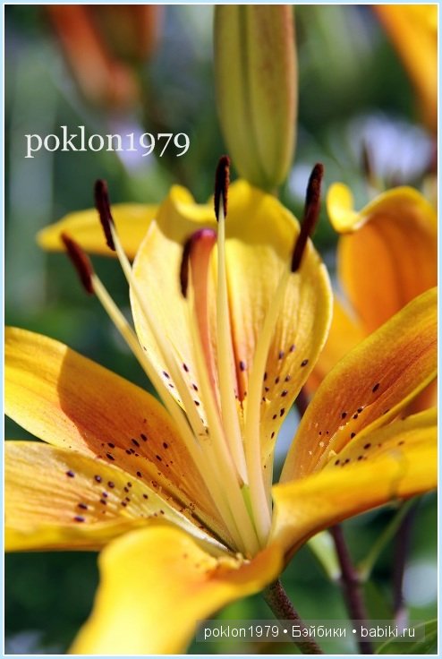 "Остановись, мгновенье! Ты прекрасно!" Испанские игровые куклы. Paola Reina 32см. Дария