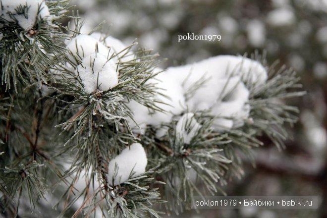 Времена года: зима. Игровые куклы Kathe Kruse. Minoushe (фото 2)