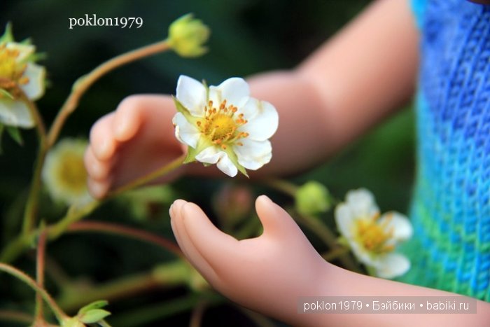 От цветка до ягодки...Игровые куклы Kathe Kruse. Minouche