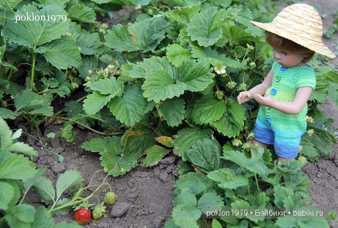От цветка до ягодки...Игровые куклы Kathe Kruse. Minouche