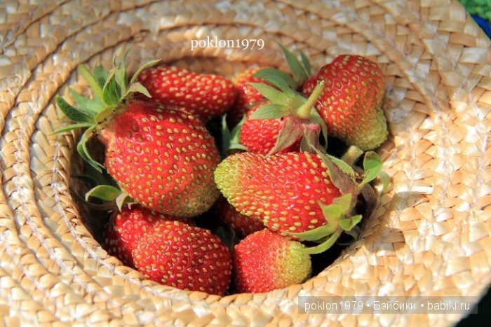 От цветка до ягодки...Игровые куклы Kathe Kruse. Minouche