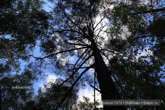 "Засентябрило за окном..." Игровые куклы Паола Рейна 35 см (Даша, Карла, Аками)