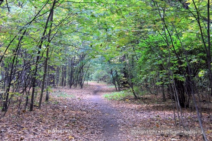 "Засентябрило за окном..." Игровые куклы Паола Рейна 35 см (Даша, Карла, Аками)