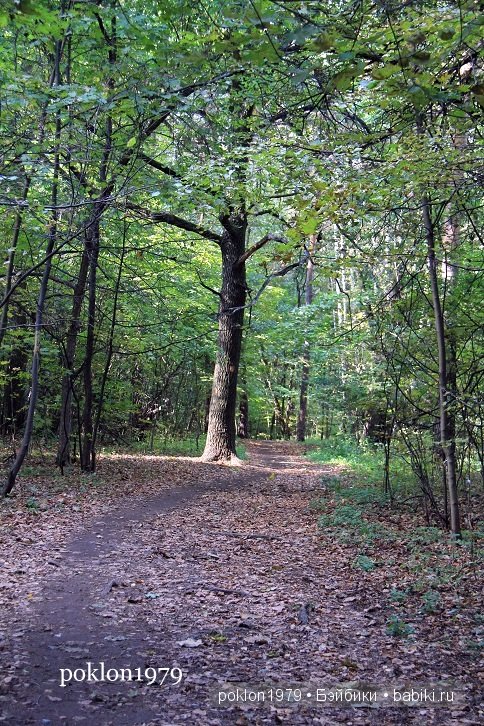 "Засентябрило за окном..." Игровые куклы Паола Рейна 35 см (Даша, Карла, Аками) (фото 2)