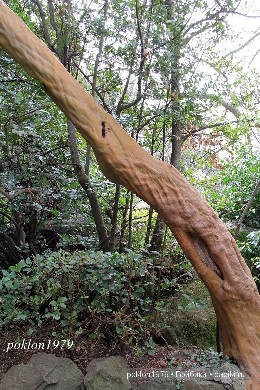 Моя весна в Ялте. Игровые куклы Kathe Kruse. Minouche 35 cм. ЧАСТЬ 2