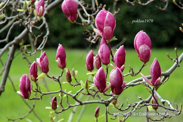 Моя весна в Ялте. Игровые куклы Kathe Kruse. Minouche 35 cм. ЧАСТЬ 2