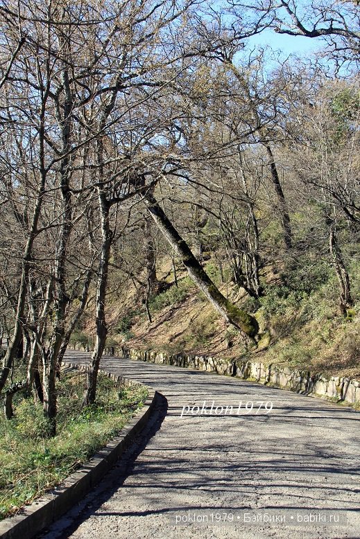 Моя весна в Ялте. Игровые куклы Kathe Kruse. Minouche 35 cм. ЧАСТЬ 1