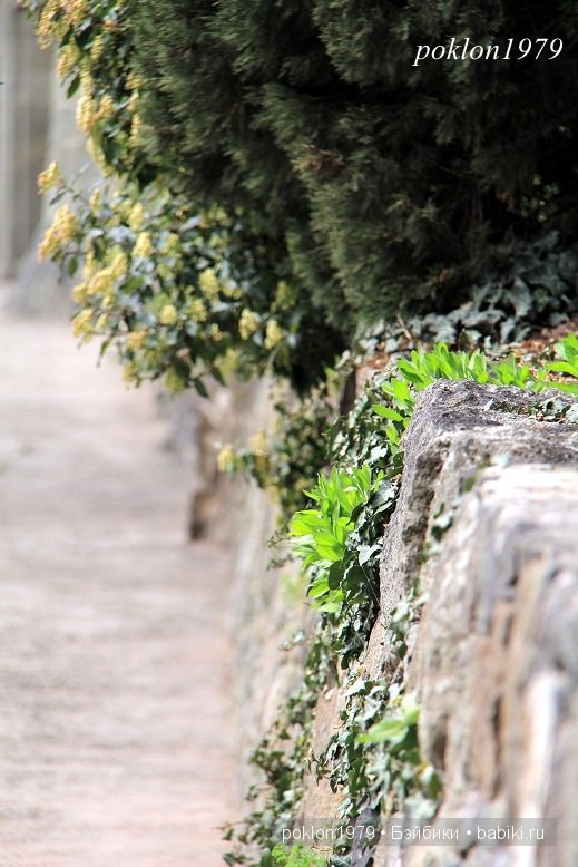 Моя весна в Ялте. Игровые куклы Kathe Kruse. Minouche 35 cм. ЧАСТЬ 2