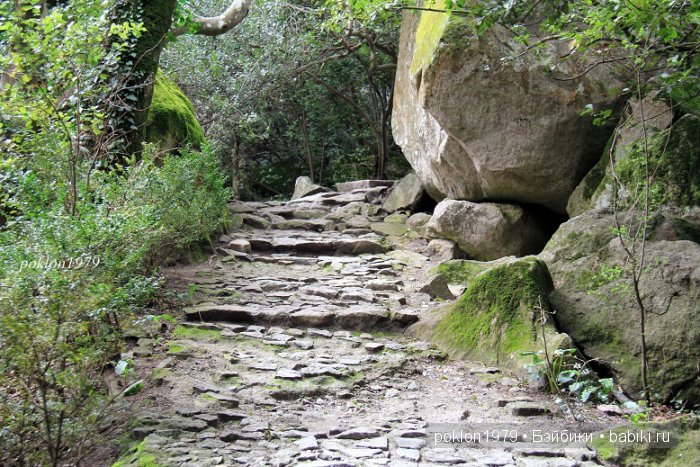 Моя весна в Ялте. Игровые куклы Kathe Kruse. Minouche 35 cм. ЧАСТЬ 2