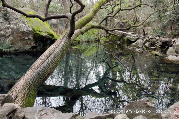 Моя весна в Ялте. Игровые куклы Kathe Kruse. Minouche 35 cм. ЧАСТЬ 2