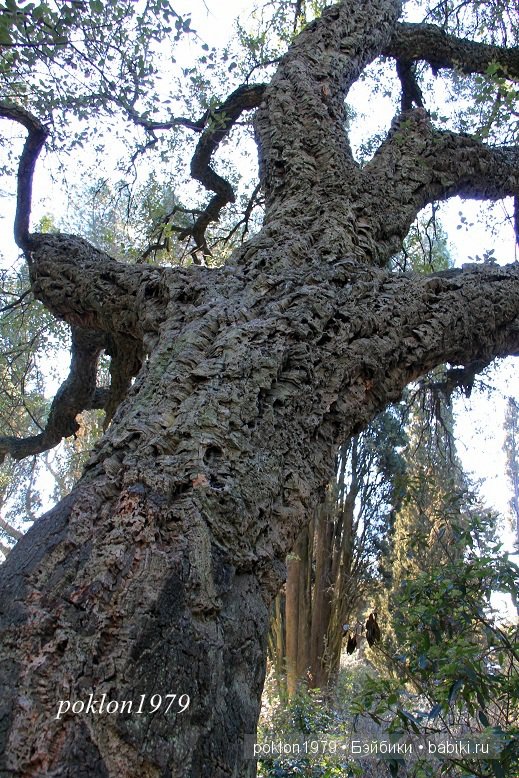 Моя весна в Ялте. Игровые куклы Kathe Kruse. Minouche 35 cм. ЧАСТЬ 1