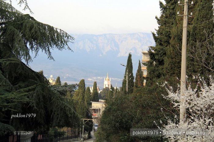 Моя весна в Ялте. Игровые куклы Kathe Kruse. Minouche 35 cм. ЧАСТЬ 2 (фото 3)