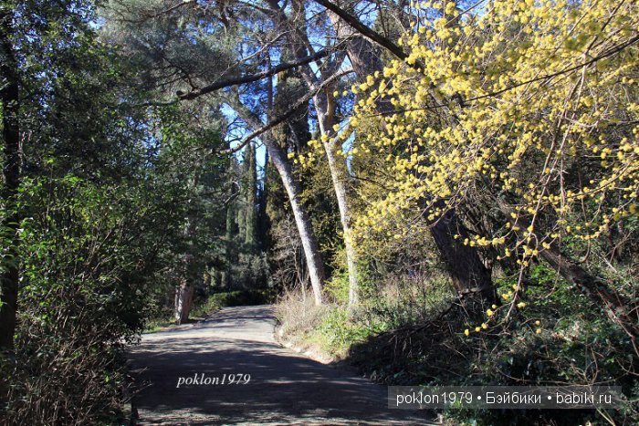 Моя весна в Ялте. Игровые куклы Kathe Kruse. Minouche 35 cм. ЧАСТЬ 1