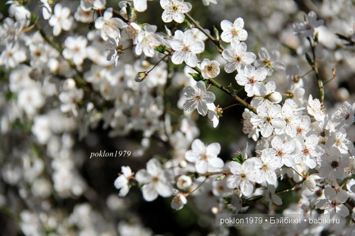 Моя весна в Ялте. Игровые куклы Kathe Kruse. Minouche 35 cм. ЧАСТЬ 1