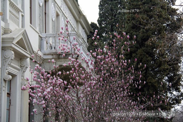 Моя весна в Ялте. Игровые куклы Kathe Kruse. Minouche 35 cм. ЧАСТЬ 2