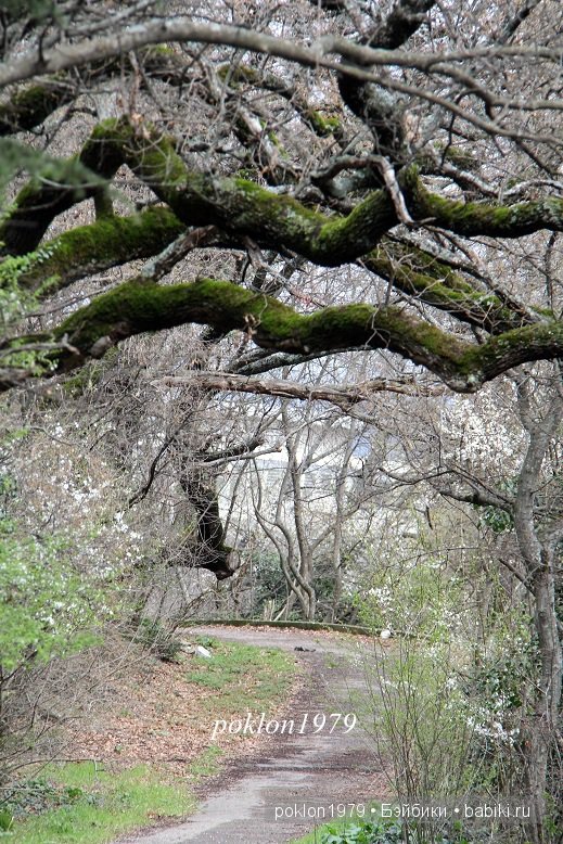 Моя весна в Ялте. Игровые куклы Kathe Kruse. Minouche 35 cм. ЧАСТЬ 2