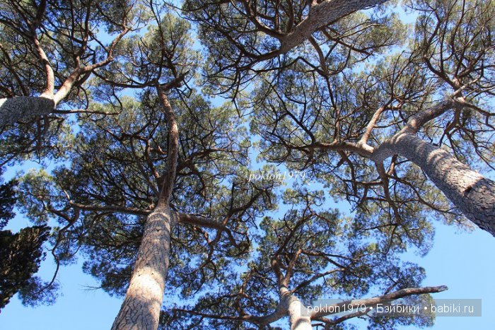 Моя весна в Ялте. Игровые куклы Kathe Kruse. Minouche 35 cм. ЧАСТЬ 1