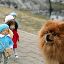 Фотомарафон "Случайно в кадре"