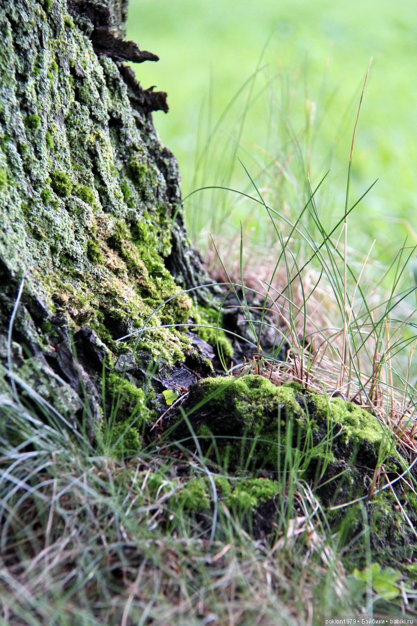 Когда любишь Паола Рейна всем сердцем | Бэйбики Когда любишь Паола Рейна всем сердцем