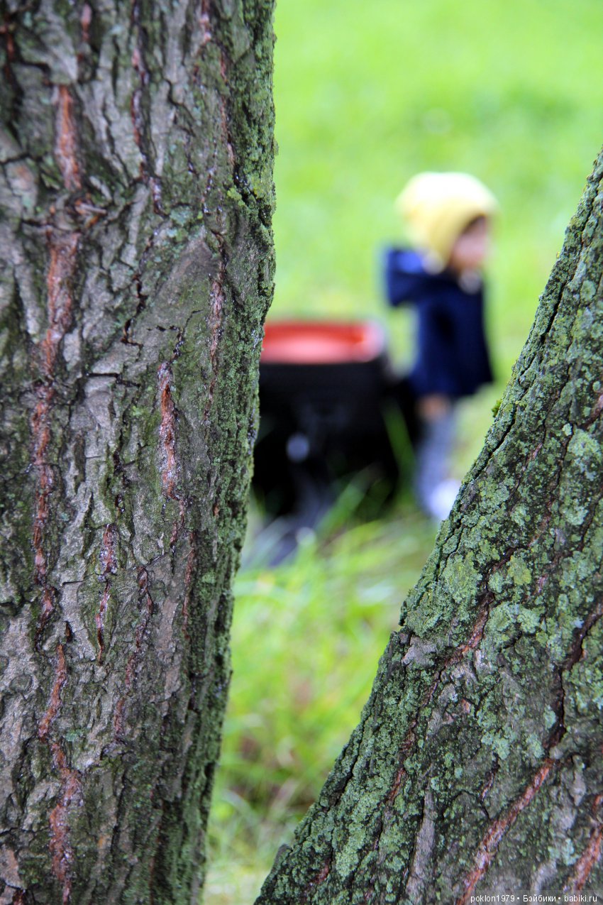 Когда любишь Паола Рейна всем сердцем | Бэйбики Когда любишь Паола Рейна всем сердцем