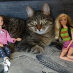 Дети, котики и куклы - наши главные радости